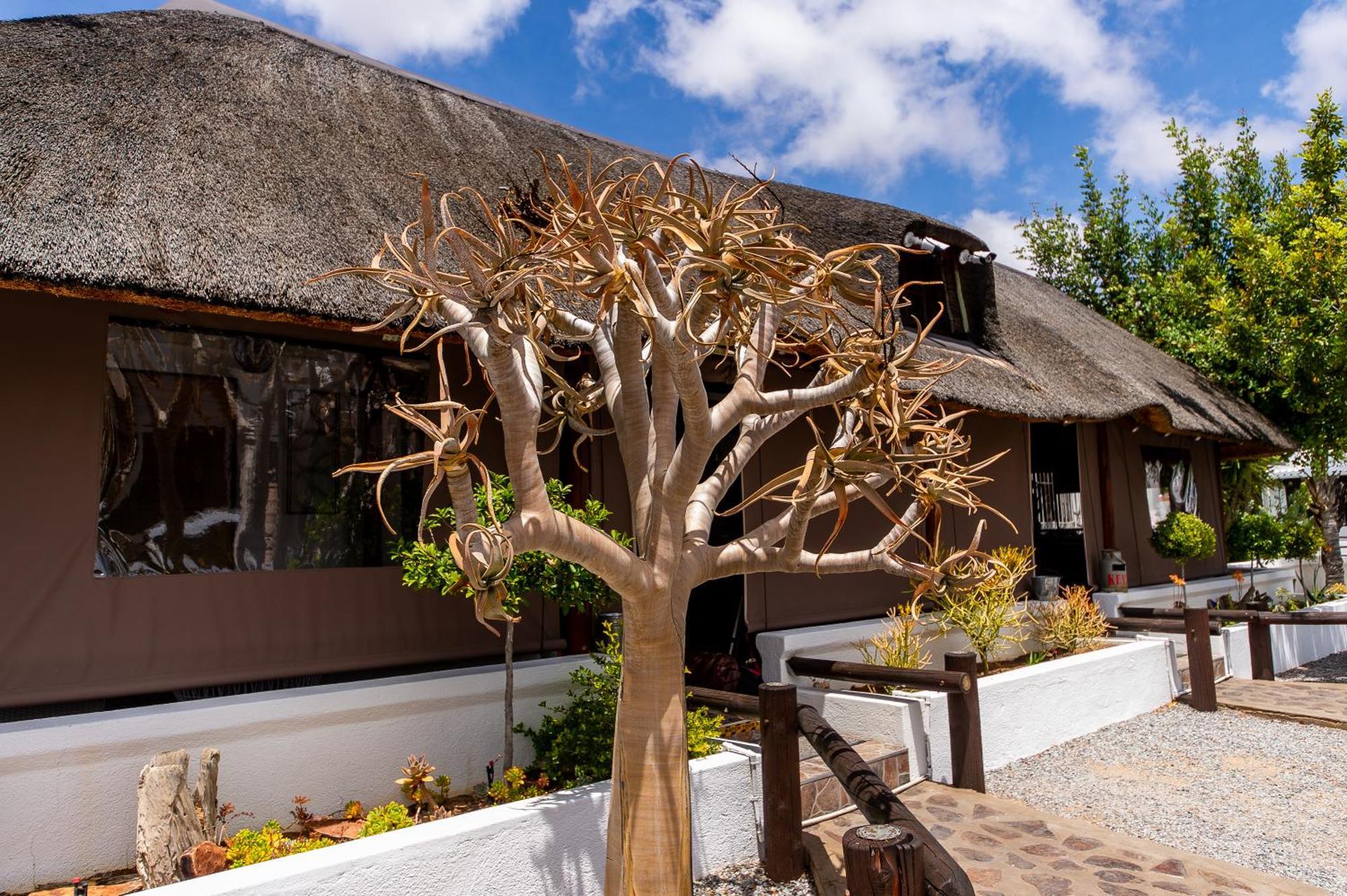 Kleinplasie Guesthouse Springbok Extérieur photo
